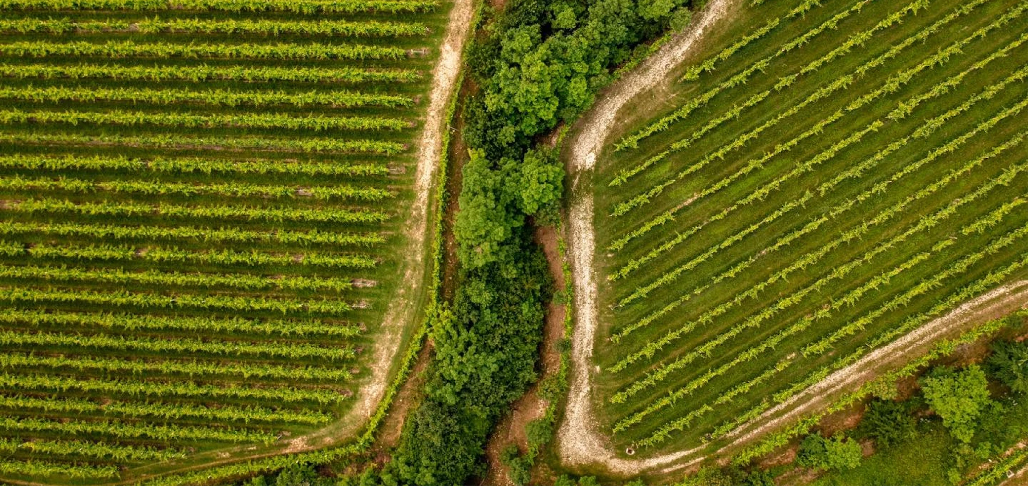 Terre di Rai