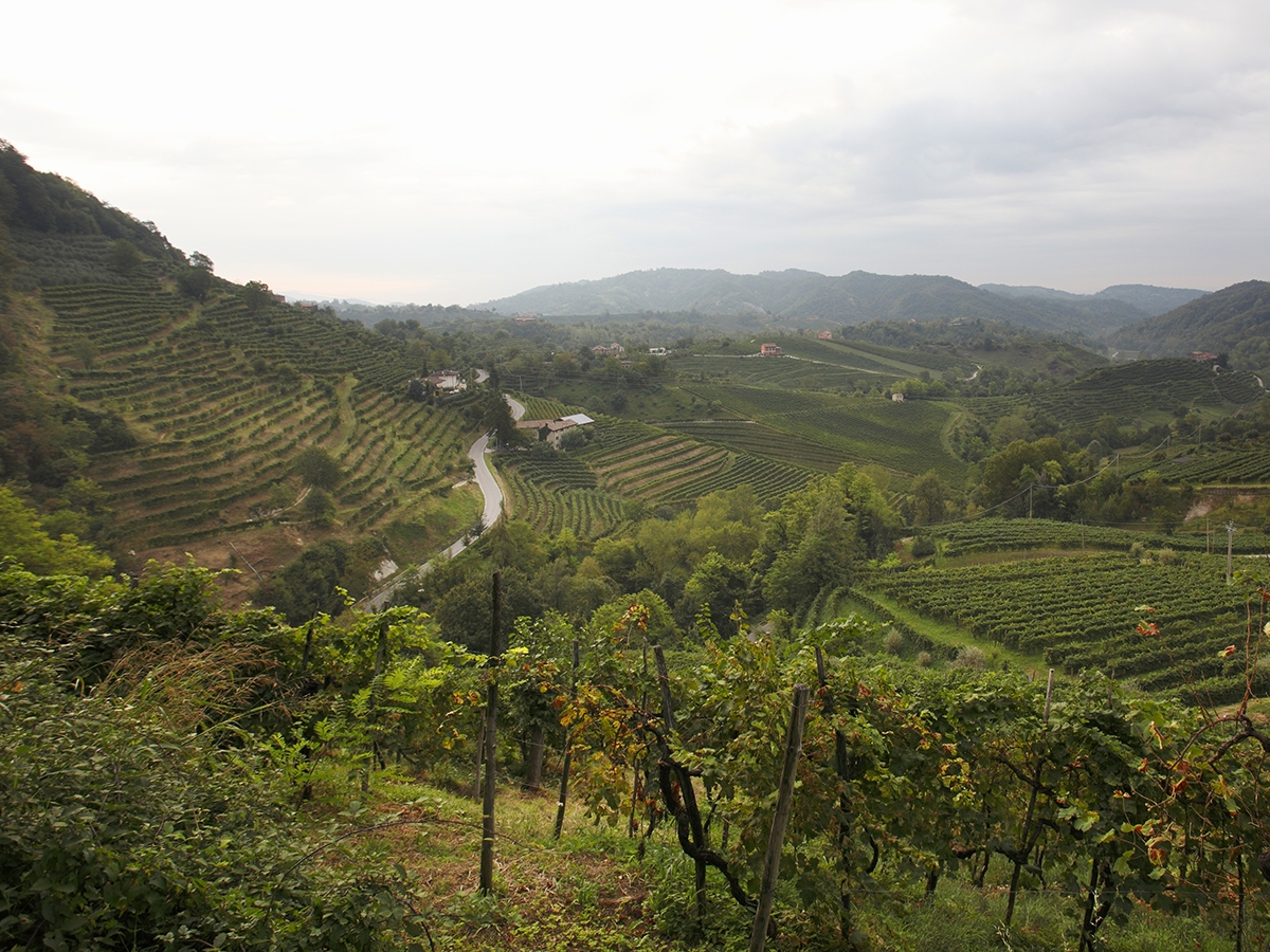 Val De Cune