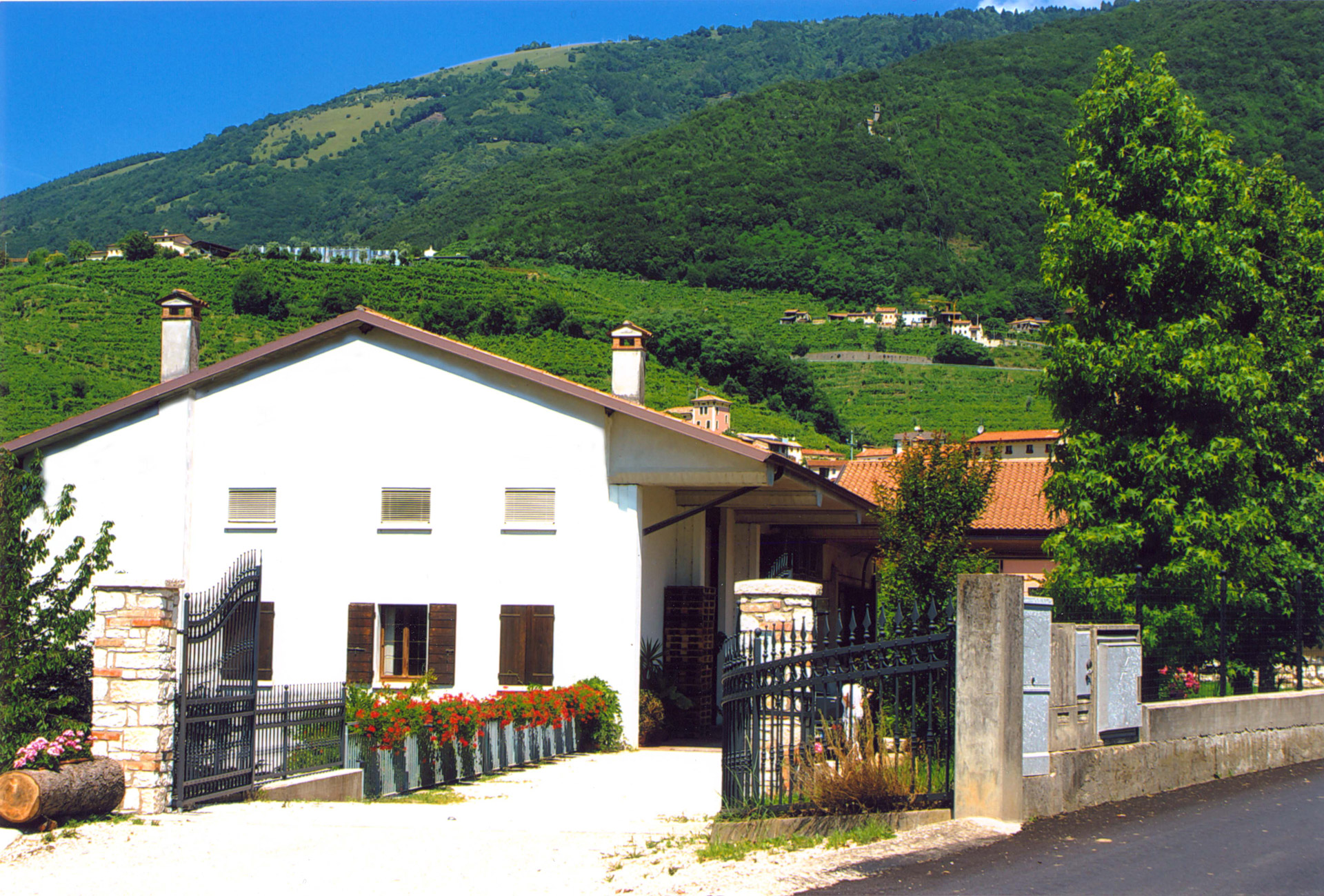 Vigne Savie