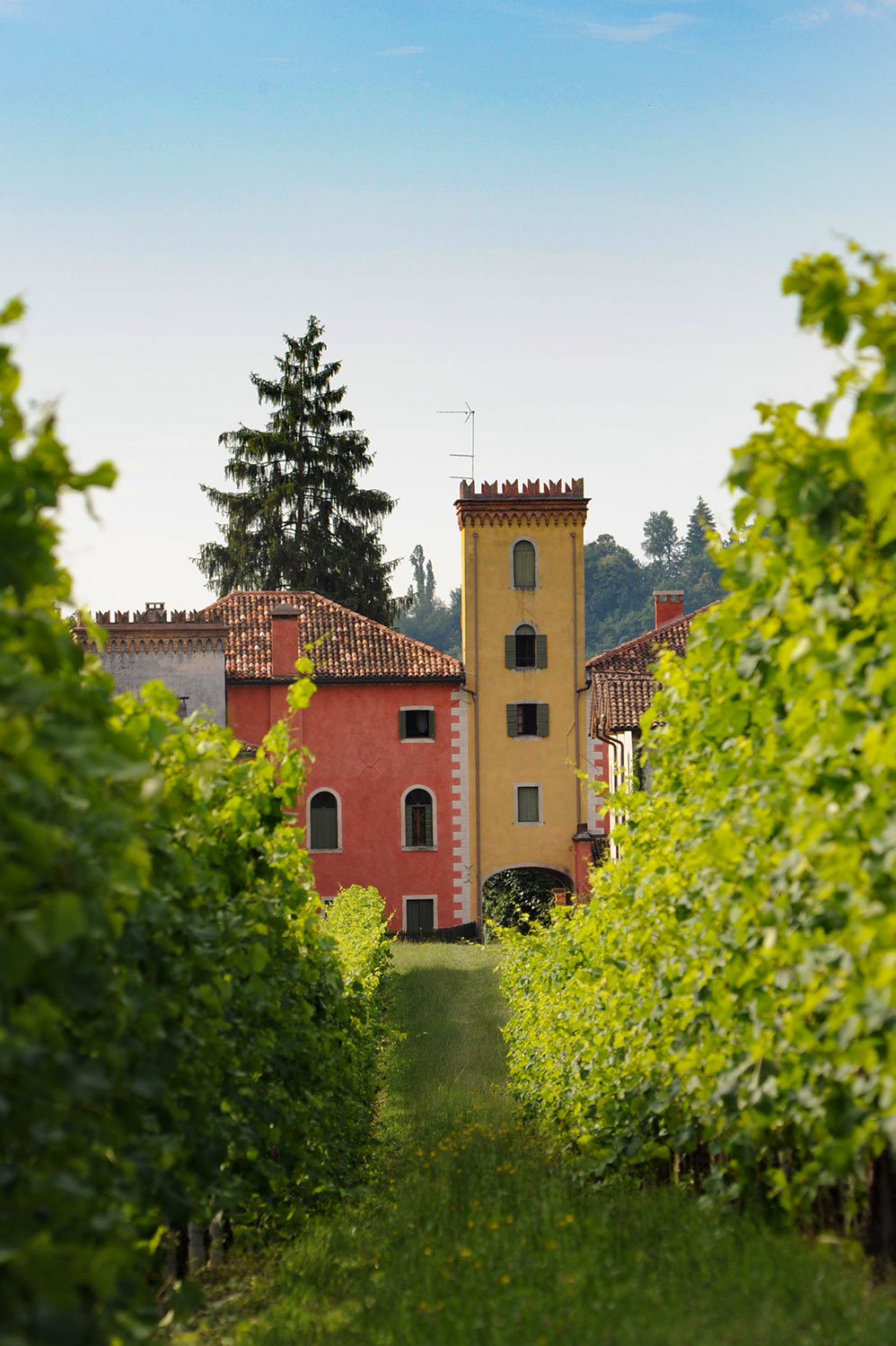 Villa Clementina