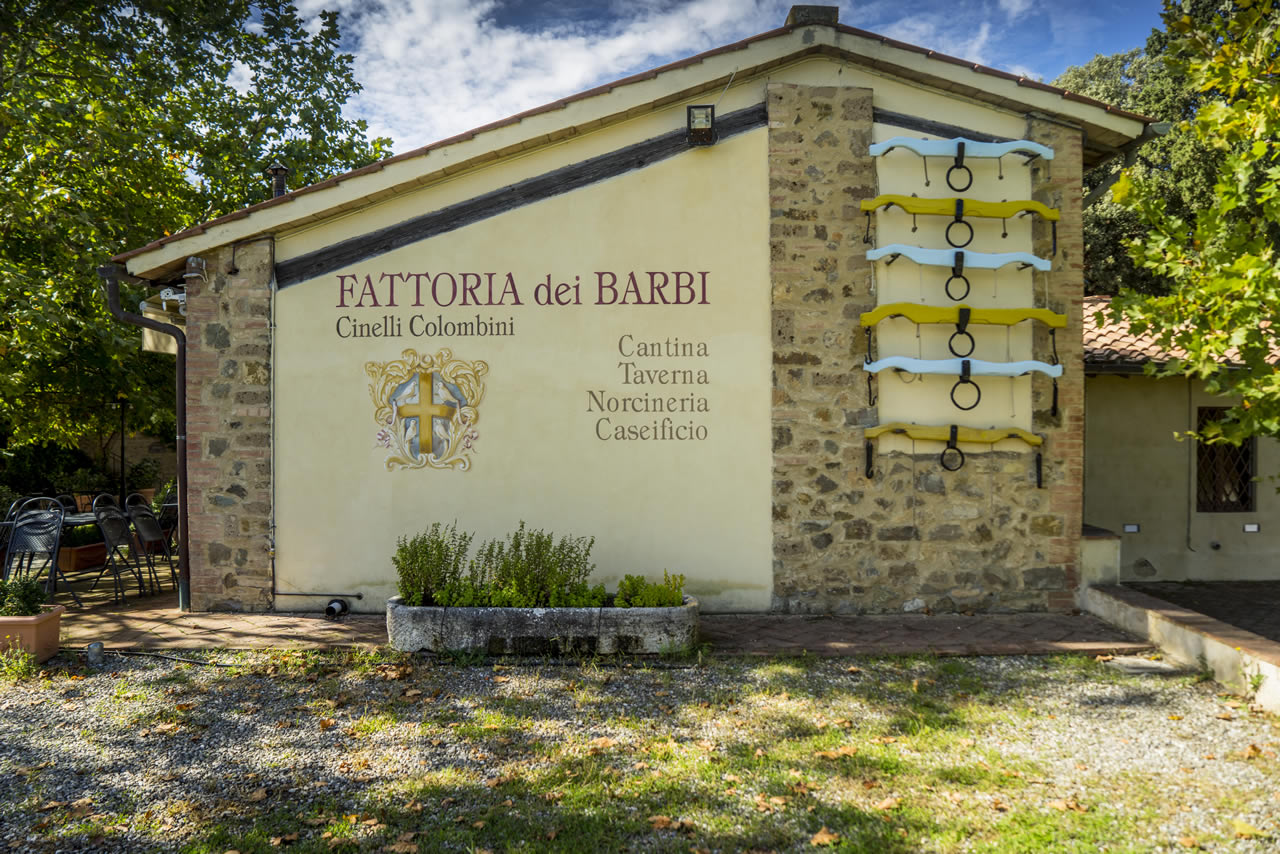 Barbi