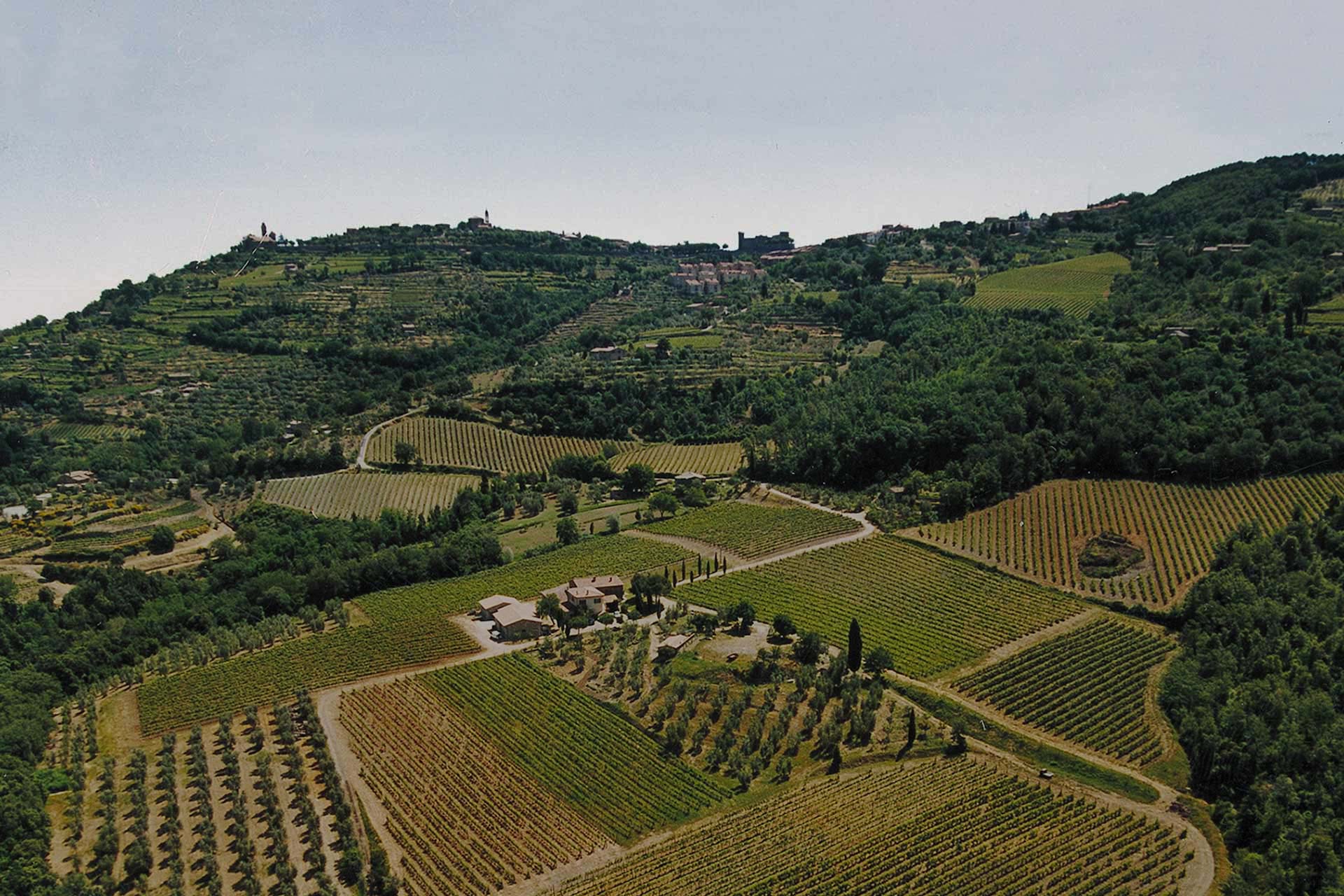Canneta