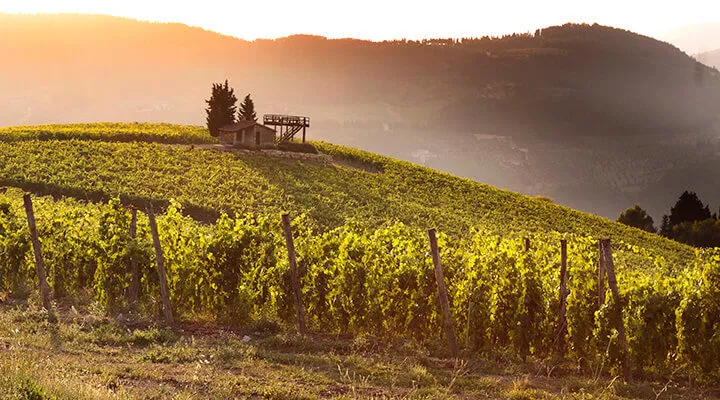 Marchesi Frescobaldi