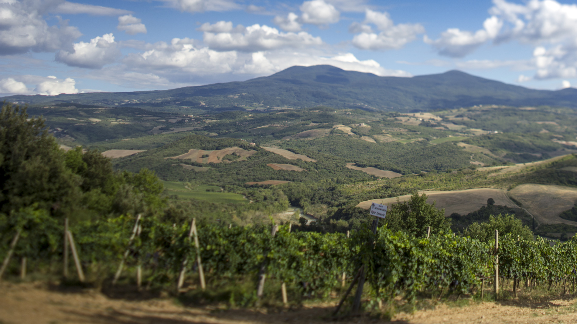 Ciacci Piccolomini d'Aragona