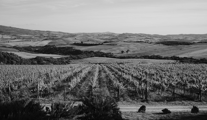 Col d'Orcia