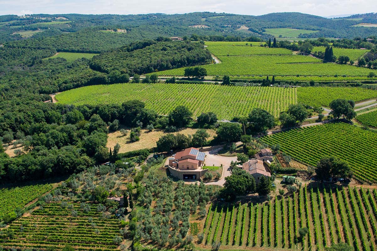 Collemattoni