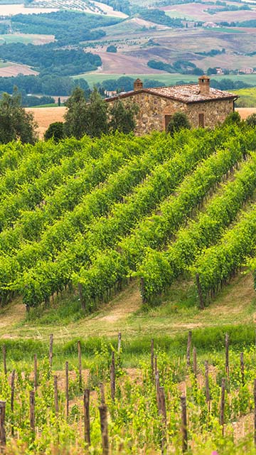 La Rasina