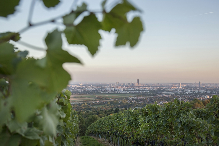 Weingut Cobenzl