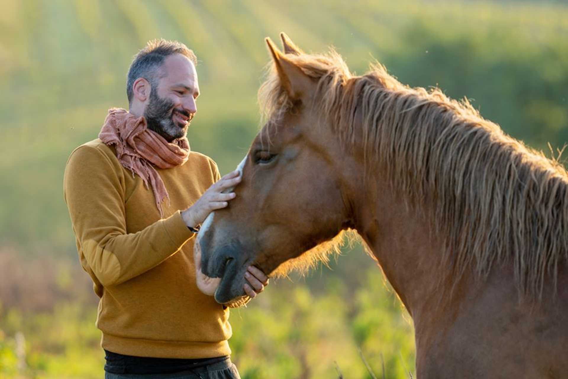 Piombaia Rossi - Cantini