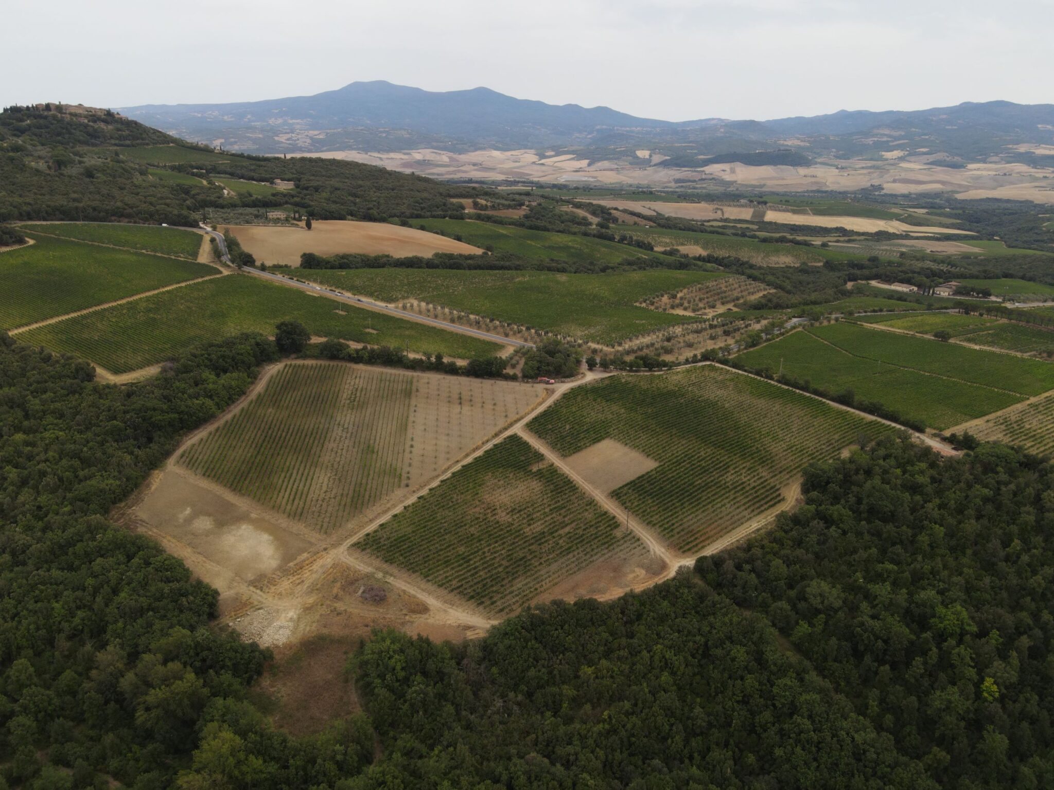 Podere Giardino