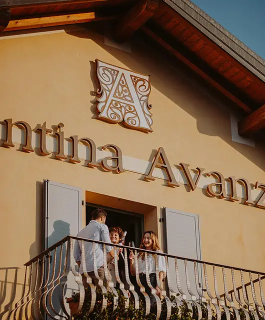 Avanzi Cav. Giovanni S.S. Az. Agr.