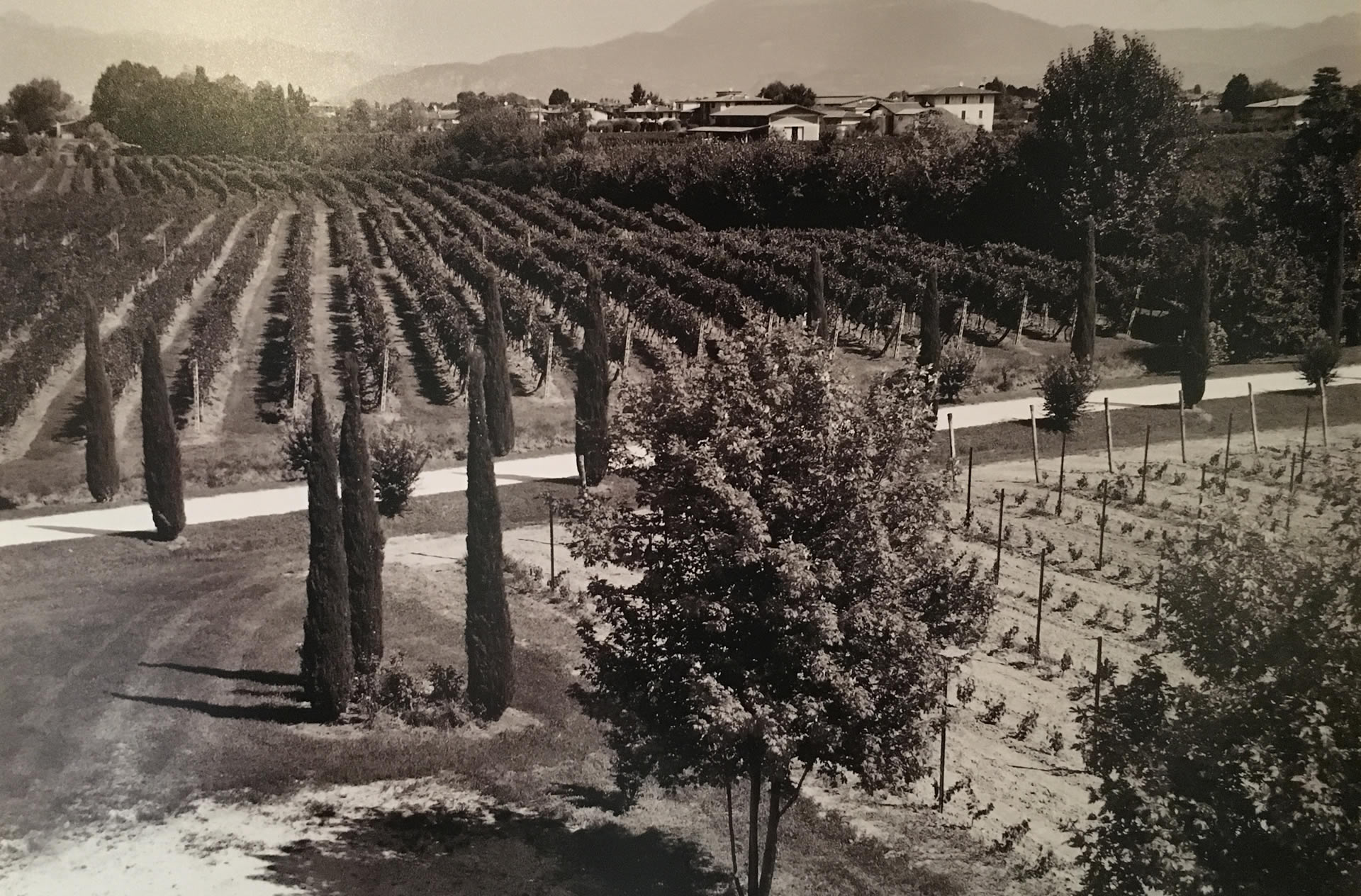 Casello Bondoni
