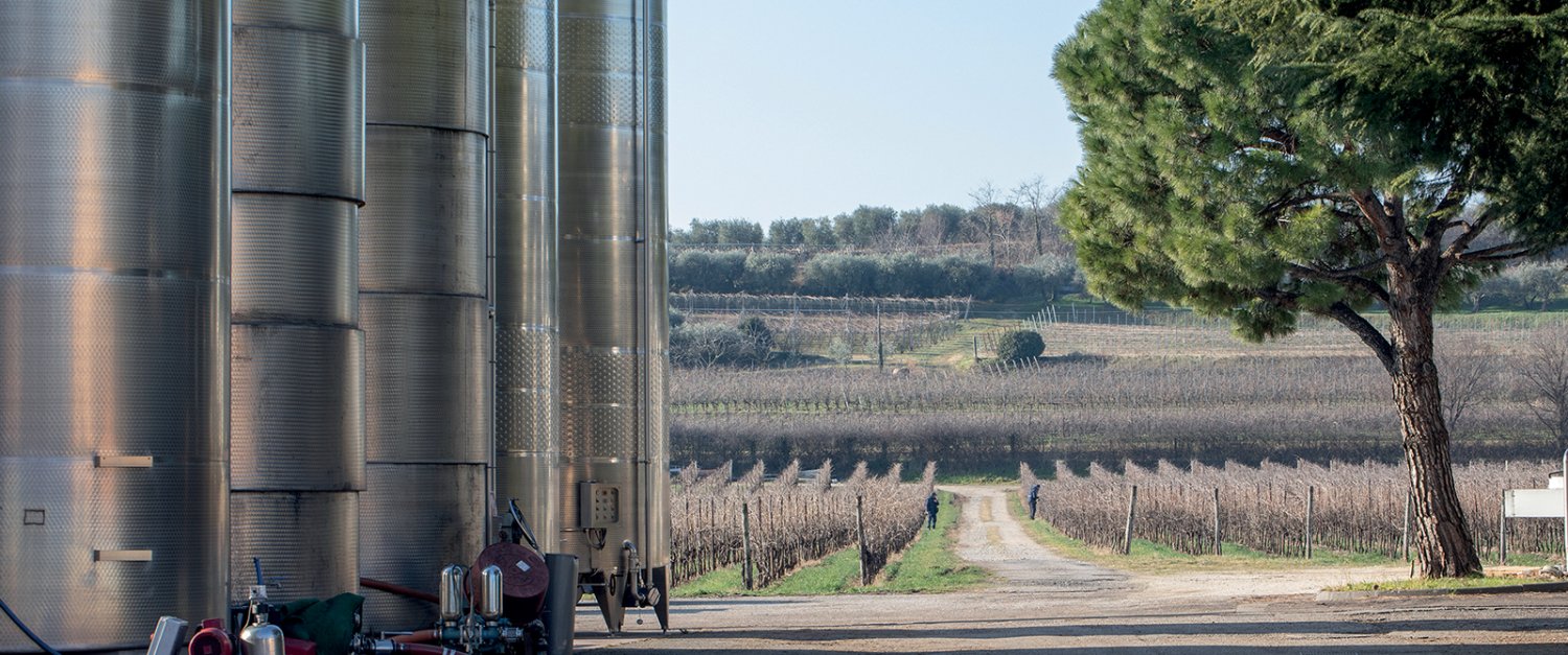 Cantine Delibori Walter