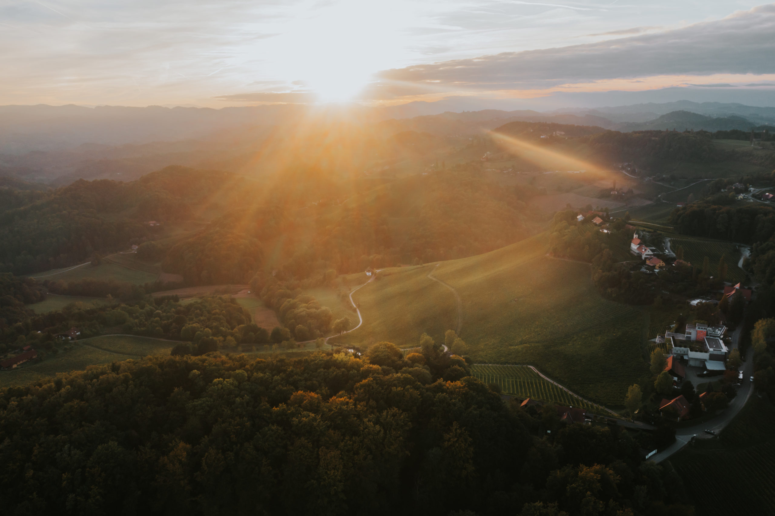 Weingut Tement