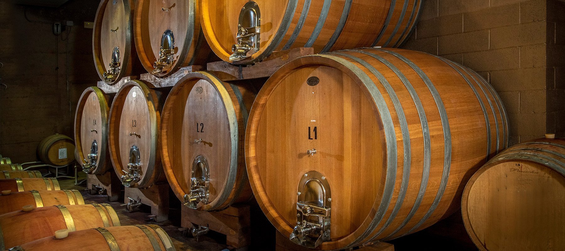 AMALIA CASCINA IN LANGA Soc.Agr. Srl