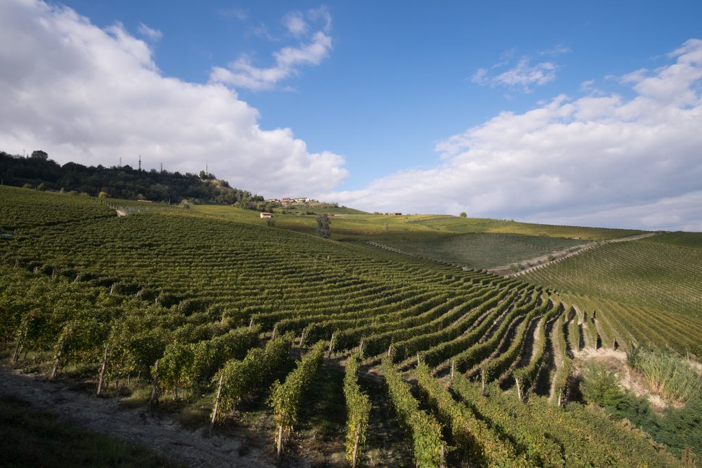 CA' D' PERULIN Az. Agr. di Casetta Ernesto