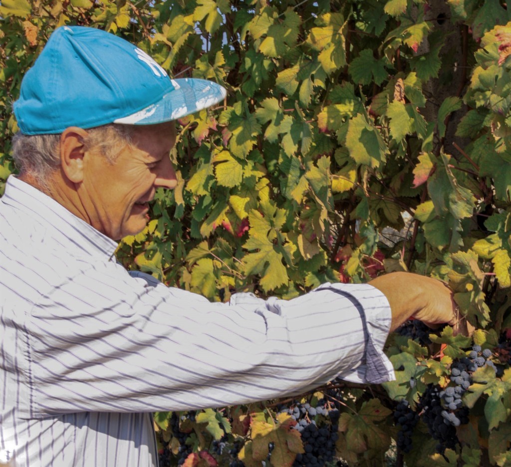 CANTINA CLAVESANA Società Cooperativa Agricola