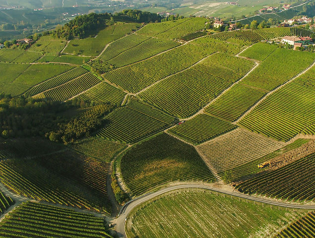 Cantina Stroppiana S.S.A.