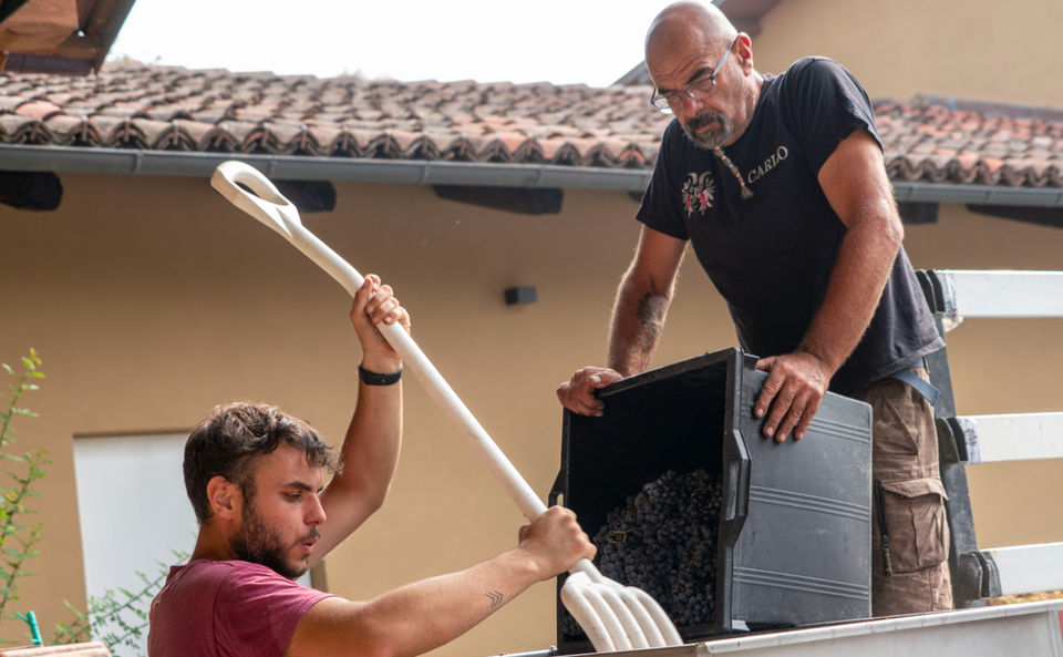 CARLO REVELLO e FIGLI AZ.AGR.