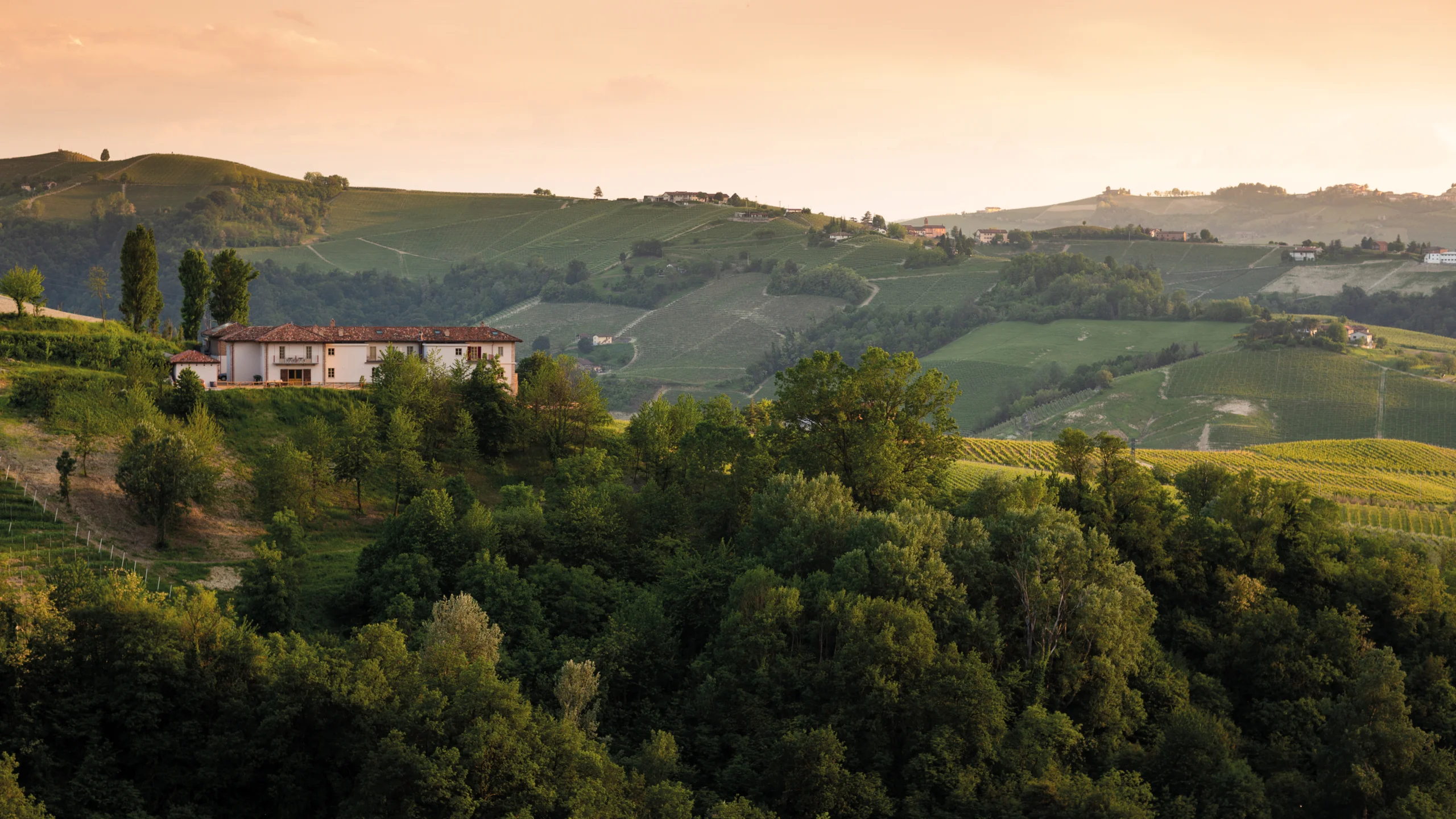 CASCINA ALBERTA Srla