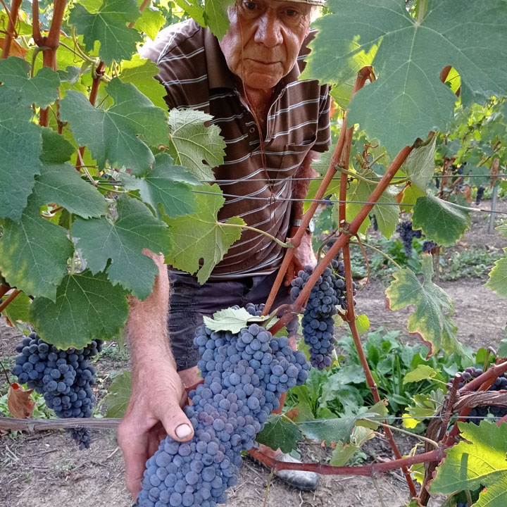 CASCINA CARLOT Az. Agr. di Claudio Mo