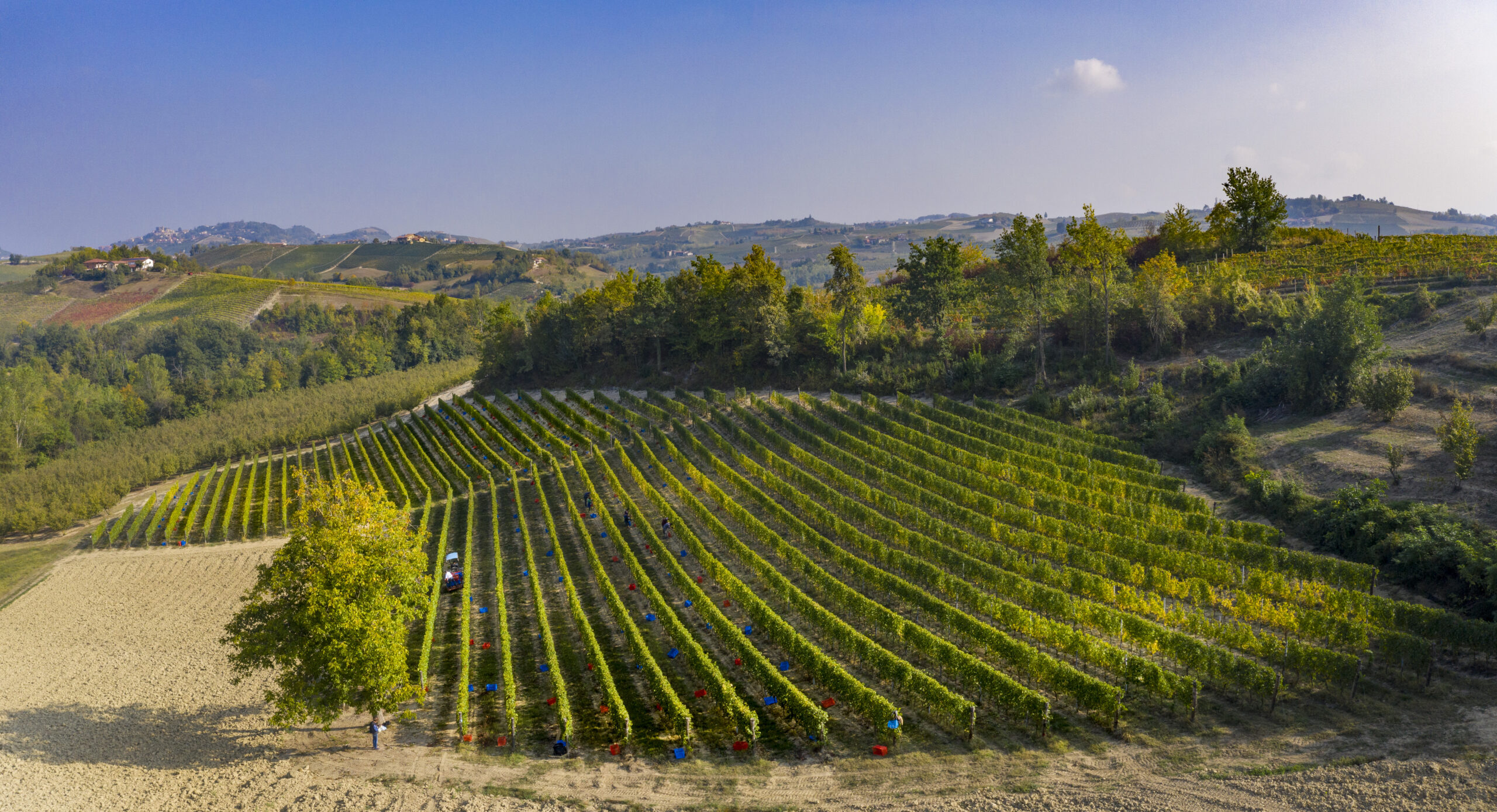 CASCINA CORTE di Barosi Alessandro