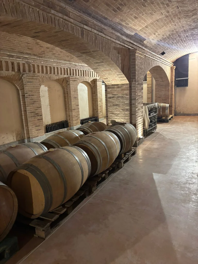 CASCINA MASSARA Az. Agr. e Vitivinicola di Burlotto Sergio Giuseppe