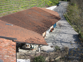 CASCINA MUCCI di BION ALEXANDER