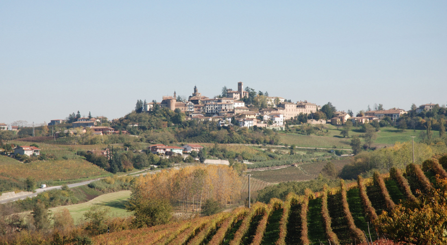 CASCINA PRINCIPE - VACCA Società Semplice Agricola