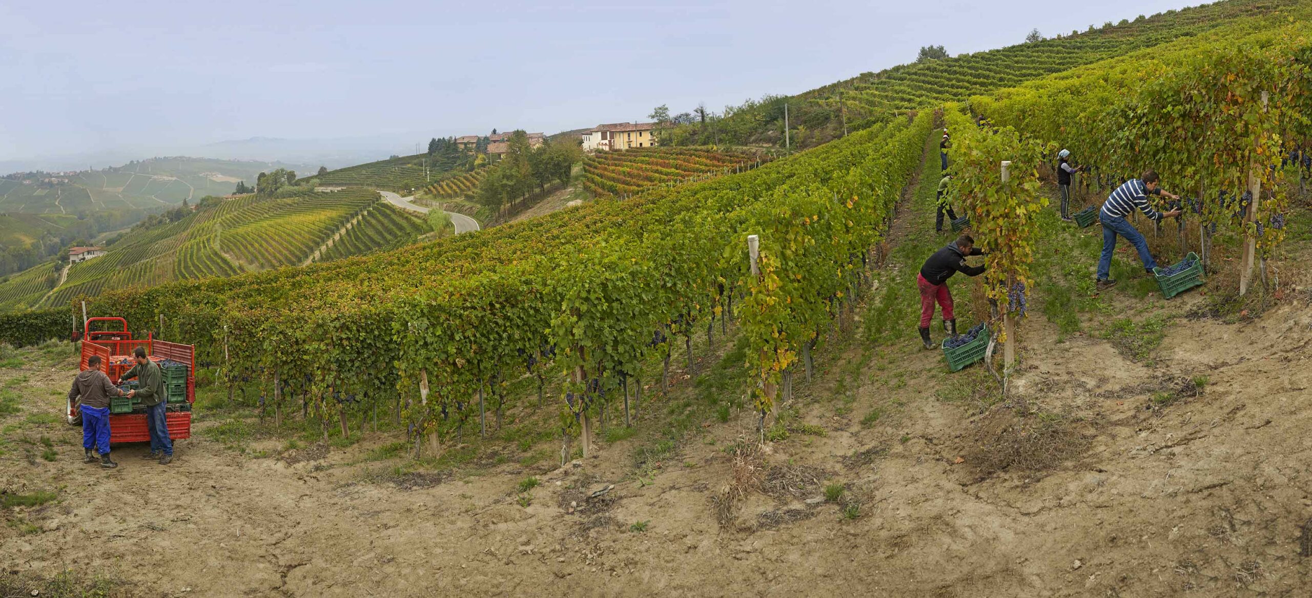 CASCINA SASSI SAN CRISTOFORO di Davide Alfredo Carniel