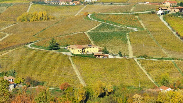 COSTA DI BUSSIA TENUTA ARNULFO s.s.