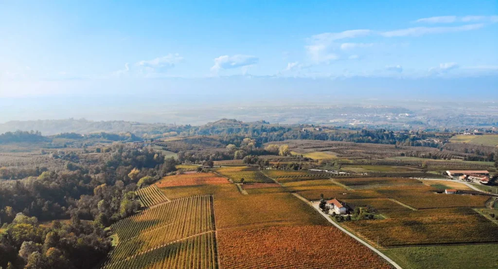 Dosio Vigneti Srl Soc.Agr.