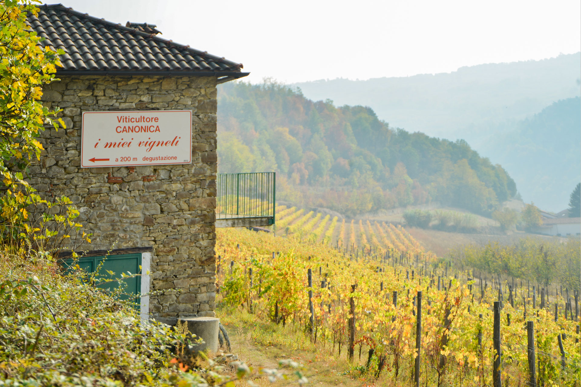 EREDI CANONICA CAV. CESARE Az. Vitivinicola. SAS