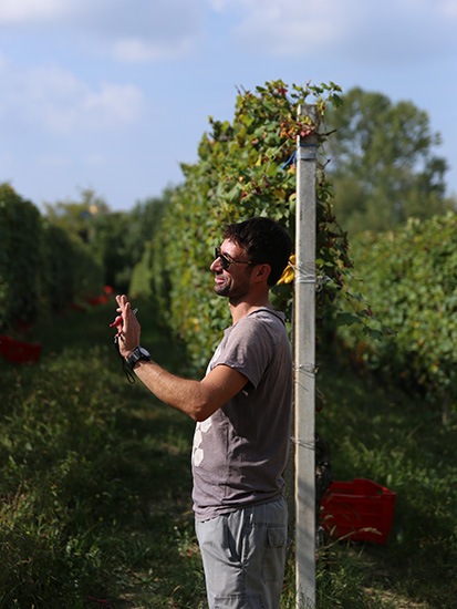 GHEDDO AZ,AGR. di Giovanni Pippia