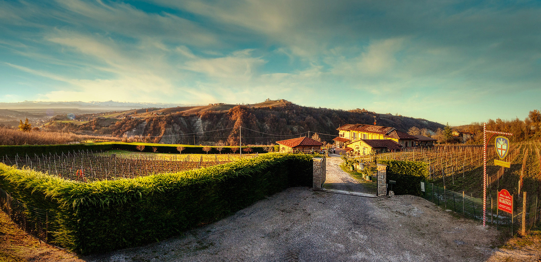 LA COLLINA PODERI Az. Agr. di Marengo Piergiorgio