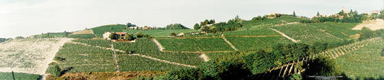 MASCARELLO GIUSEPPE E FIGLIO & C. s.s.