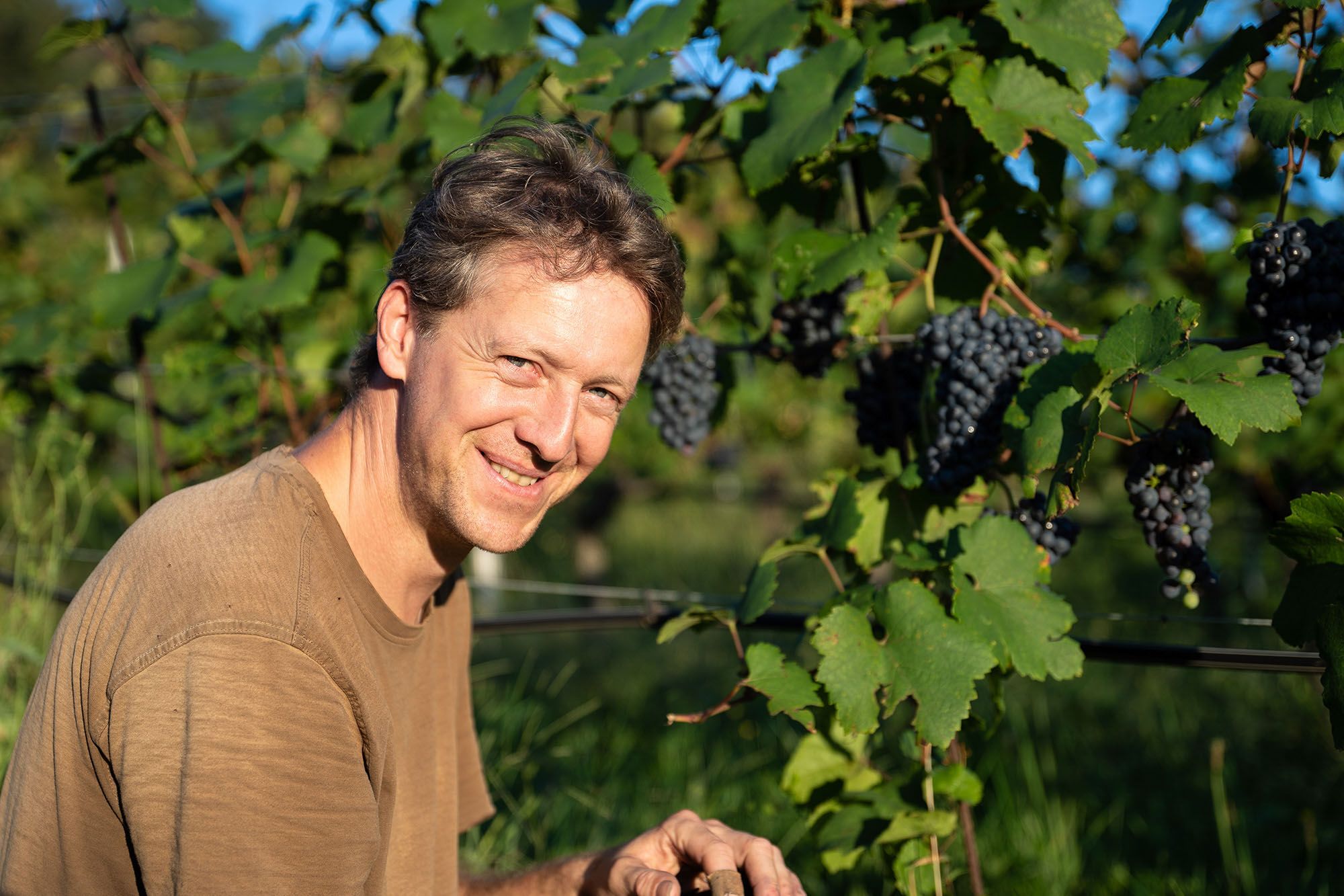 Wolfgang Lang