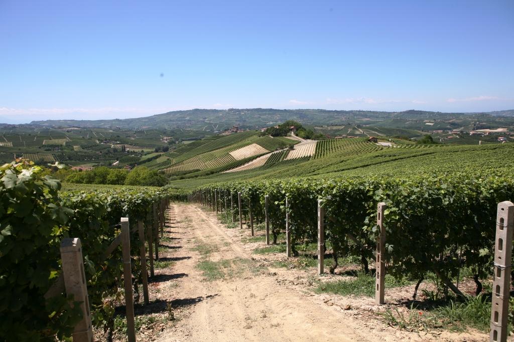 PRANDI GIOVANNI Az. Agr. di Prandi Alessandro