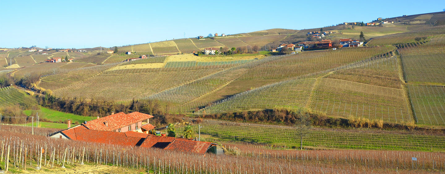 RONCHI Az. Agr. di Giancarlo Rocca