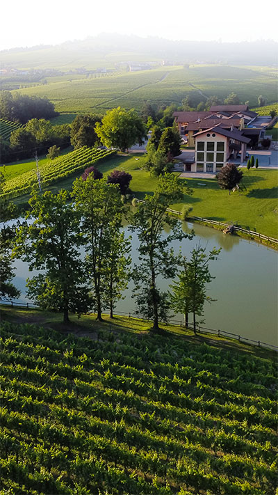 Sartirano Figli Cantine e Vigneti Srl