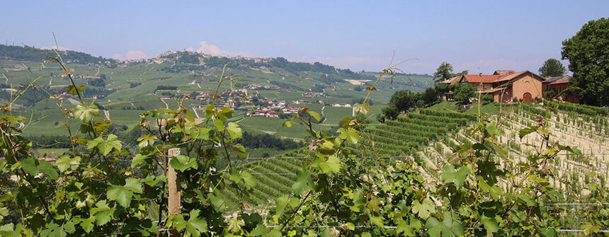 Tenuta Montanello S.S.