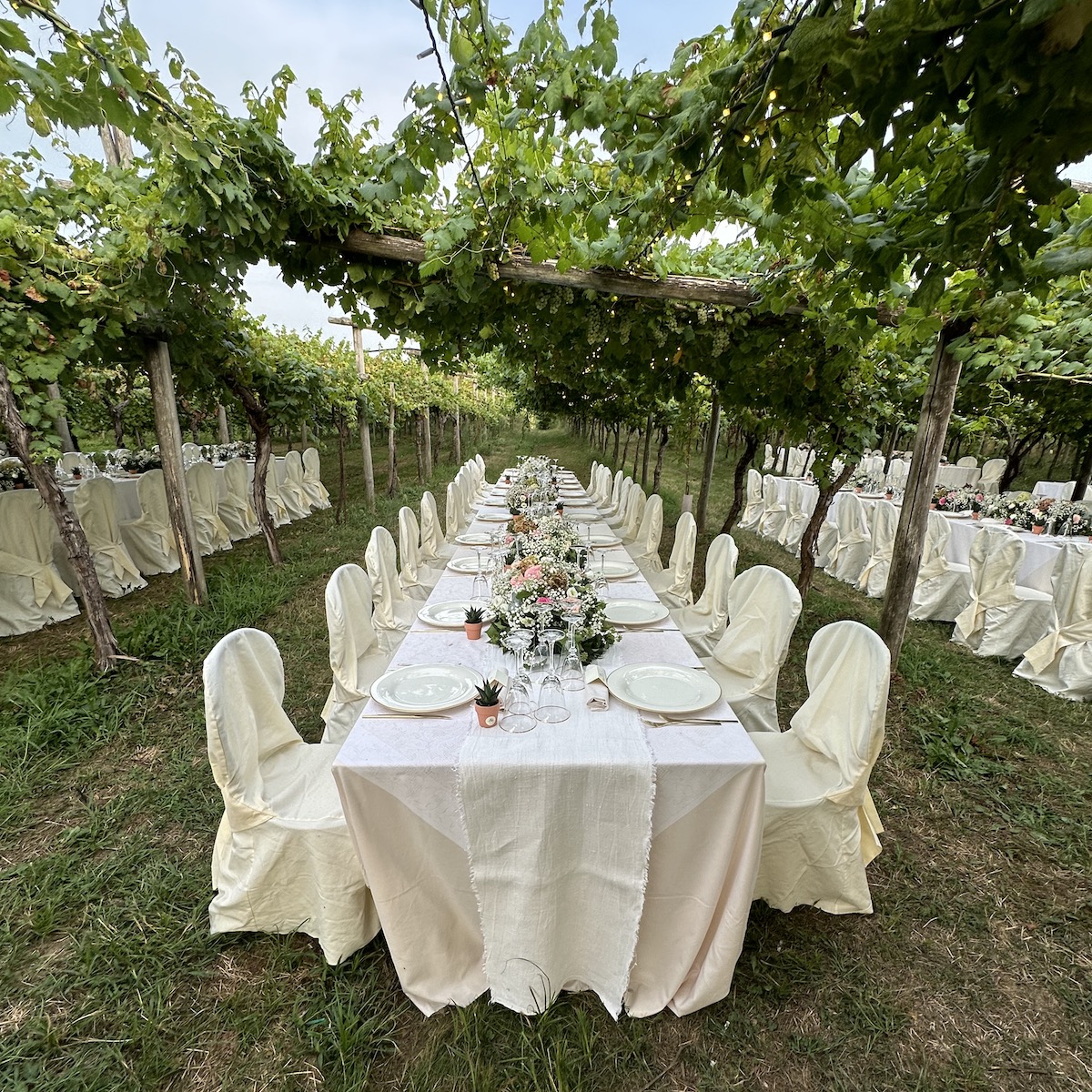 TENUTA ROLETTO s.c.a.