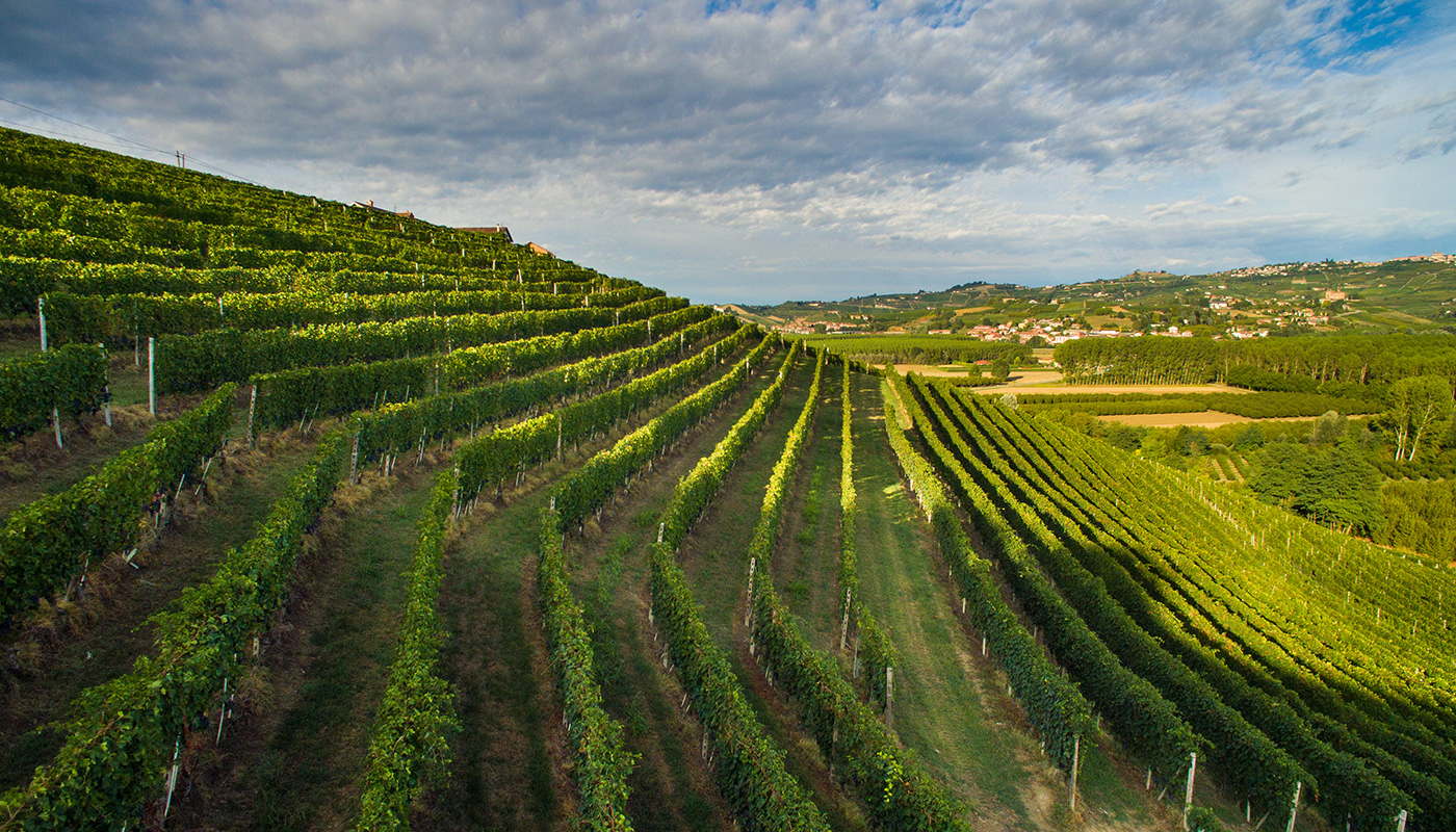 TENUTE STEFANO FARINA S.A. Srl