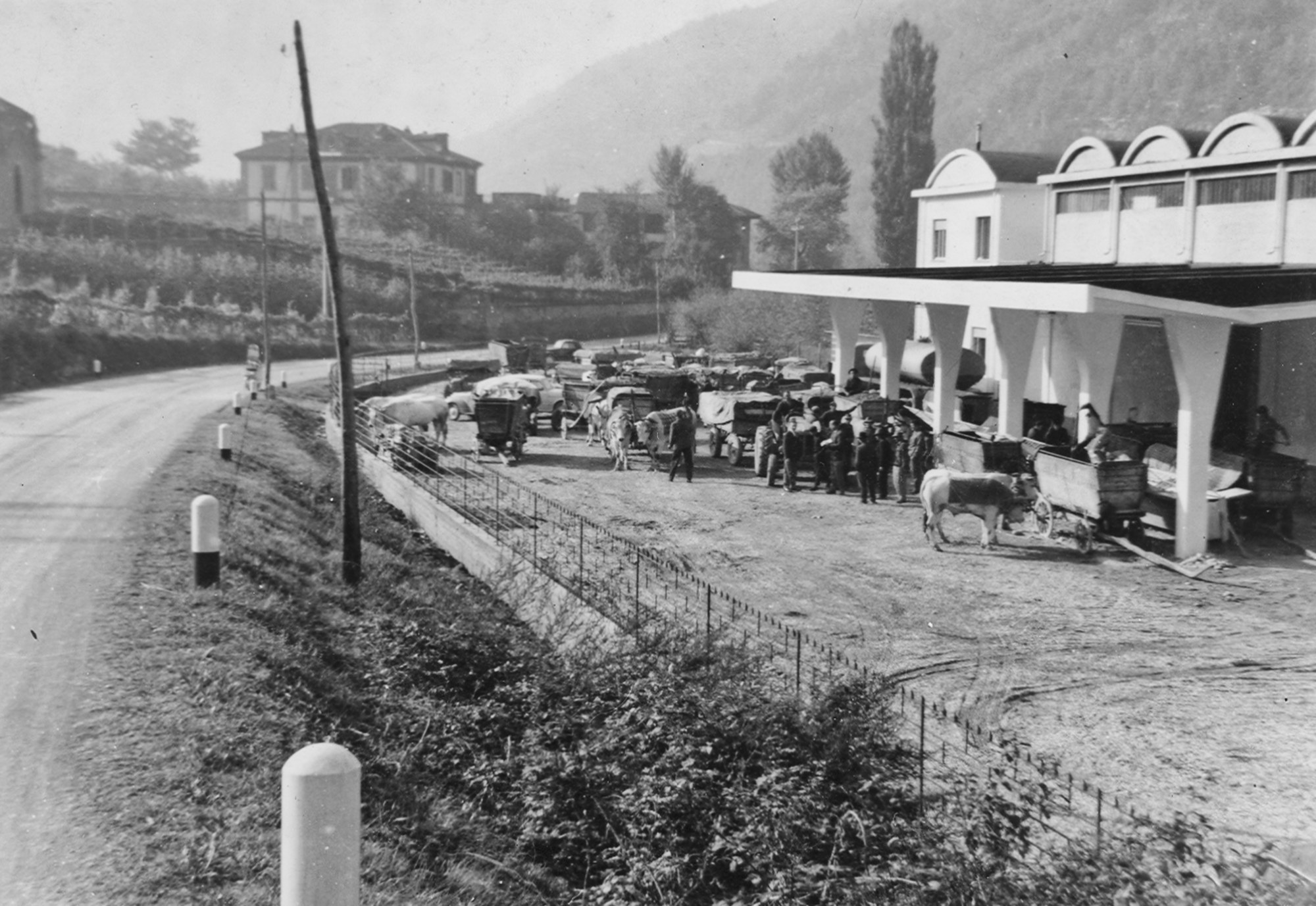 TERRENOSTRE s.c.a.