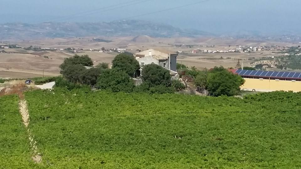 Azienda Agricola Costanza Ignazio
