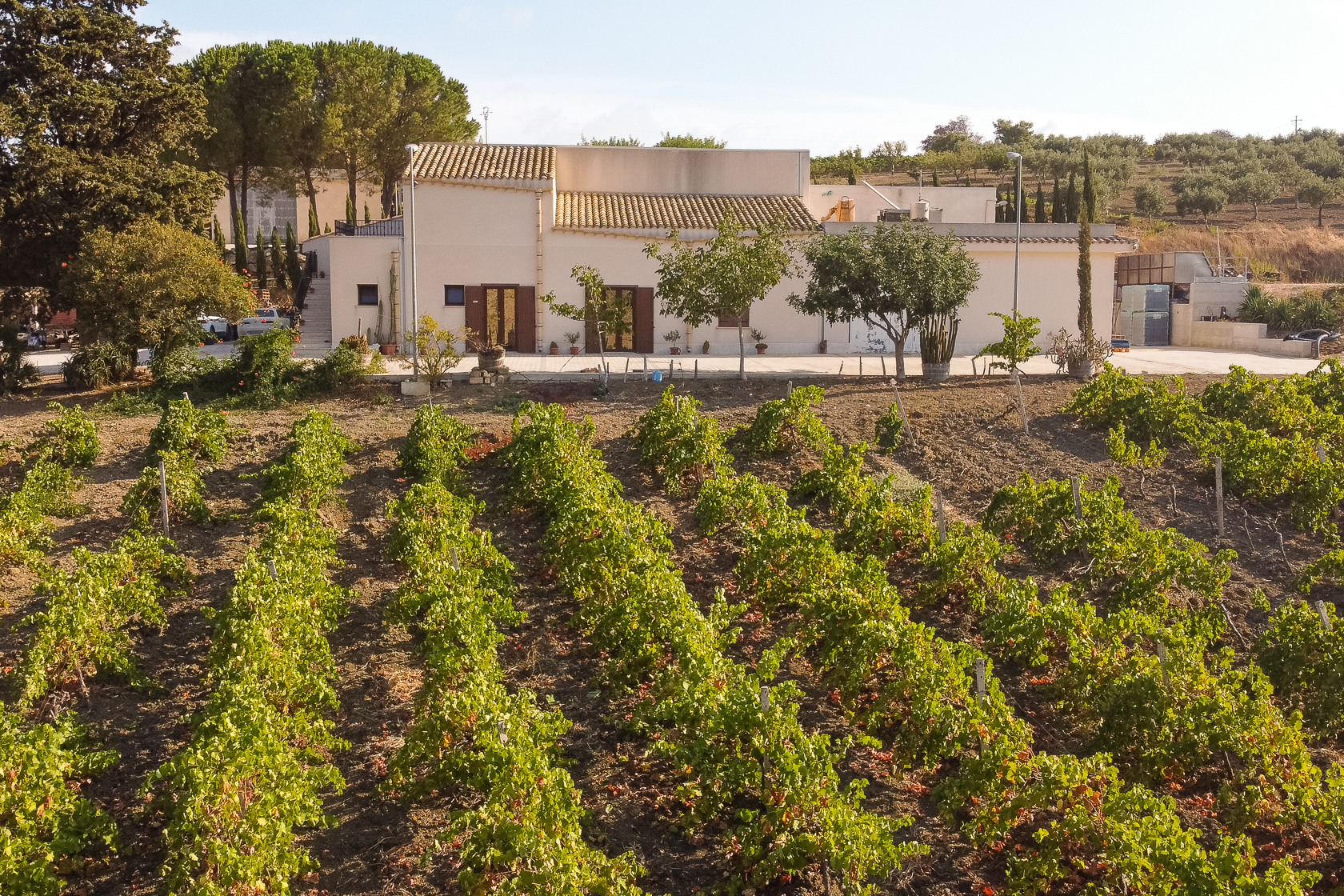 Azienda Agricola Ferreri e Bianco S.r.l.