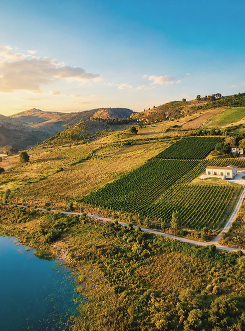 Azienda Agricola Gaspare Di Prima