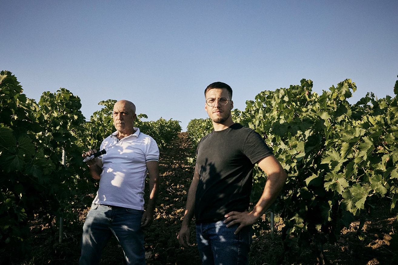 Azienda Agricola Le Case Alte di Vaccaro Maria