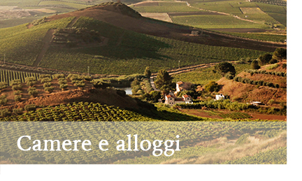 Azienda Agricola Testa Filippo