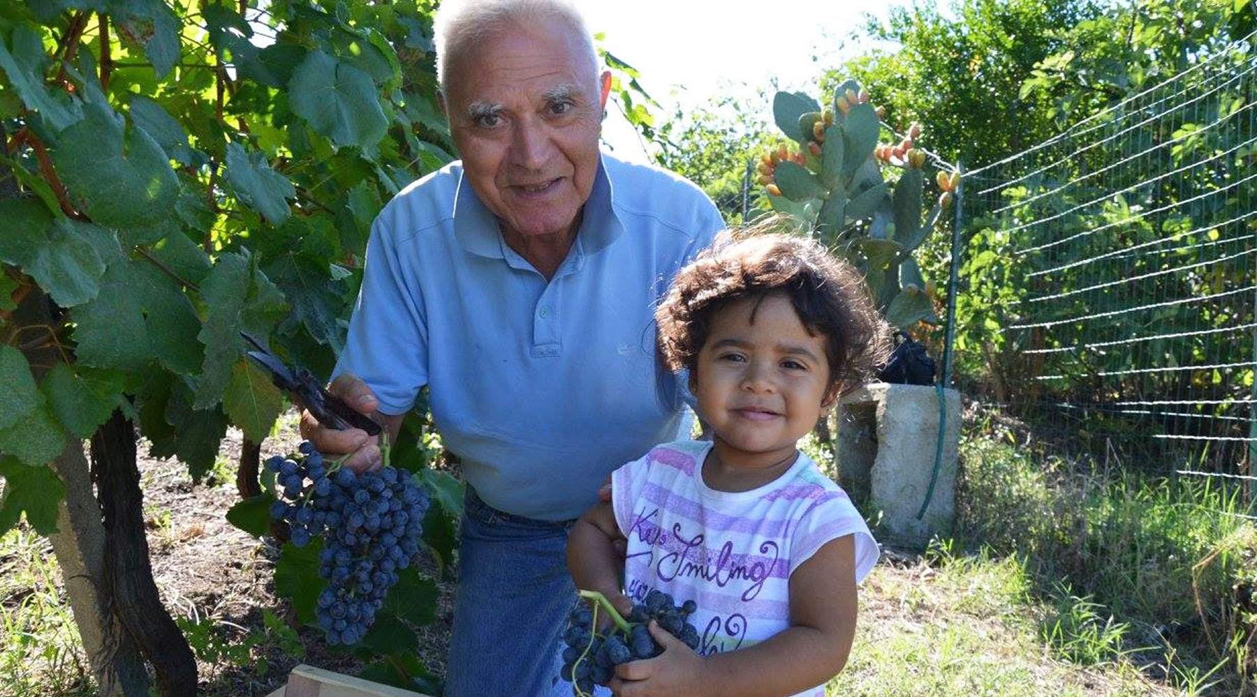Azienda Vinicola Rosario Di Giovanni Snc
